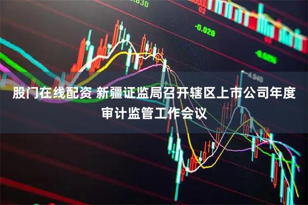 股门在线配资 新疆证监局召开辖区上市公司年度审计监管工作会议