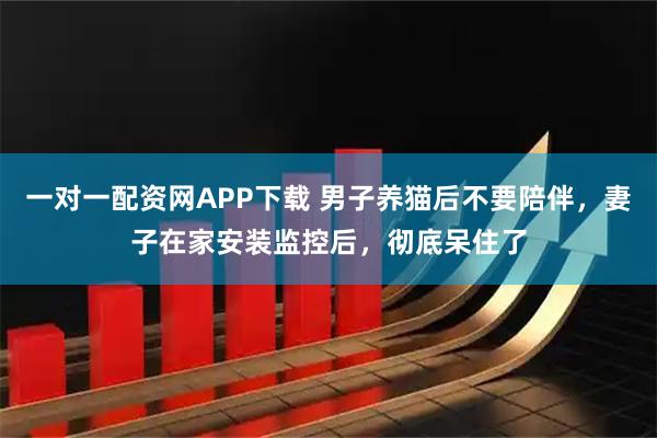 一对一配资网APP下载 男子养猫后不要陪伴，妻子在家安装监控后，彻底呆住了
