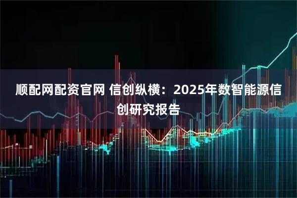 顺配网配资官网 信创纵横：2025年数智能源信创研究报告