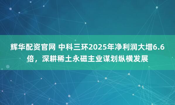 辉华配资官网 中科三环2025年净利润大增6.6倍，深耕稀土永磁主业谋划纵横发展