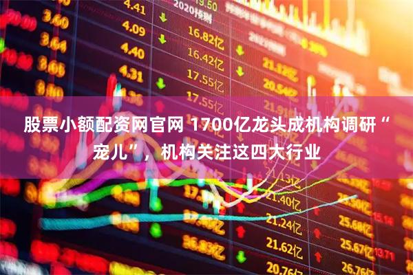 股票小额配资网官网 1700亿龙头成机构调研“宠儿”，机构关注这四大行业