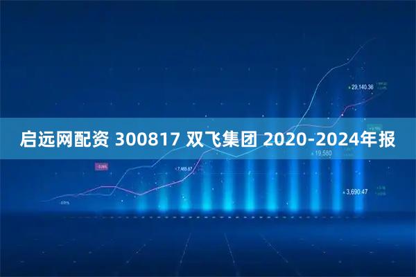 启远网配资 300817 双飞集团 2020-2024年报