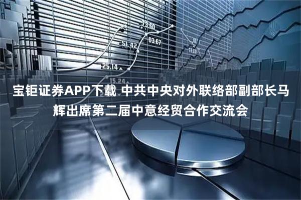 宝钜证券APP下载 中共中央对外联络部副部长马辉出席第二届中意经贸合作交流会